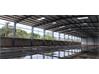 Commercial Property in Industrial Estate for Rent in Pashamylaram
